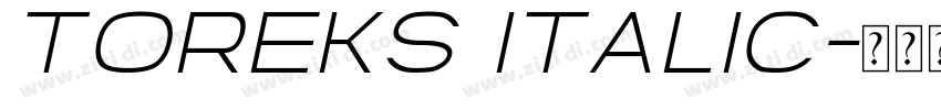 Toreks Italic字体转换